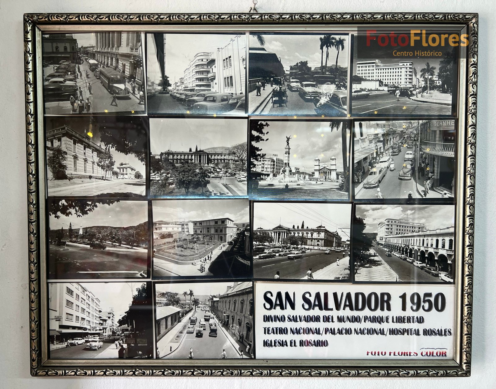 Foto Flores